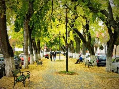 Аллея, что это такое. Значение слова «аллея» 02