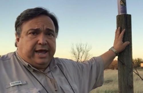 Зачем стволы деревьев красят белой краской. Почему и зачем красят деревья в белый цвет 03