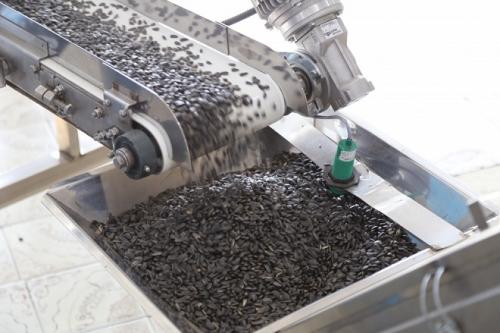 Как шелушить подсолнух. Как быстро чистить семечки в домашних условиях