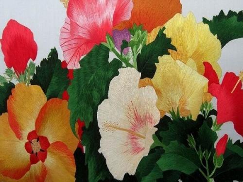 Настурция лечебные свойства. Настурция–лечебные свойства и применение в народной медицине