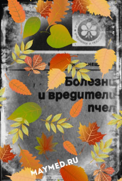 Почему улетели пчелы осенью из улья. Почему пчелы улетают из улья осенью 01