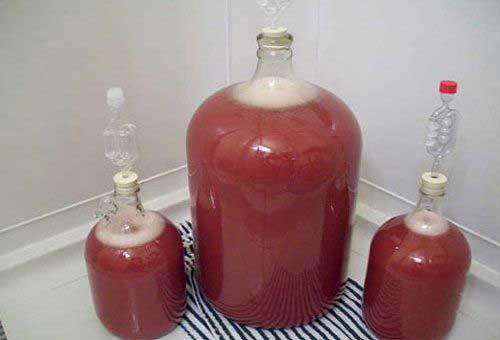 Можно ли хранить вино в пластиковых бутылках из под воды. Хранение домашнего вина в пластиковых бутылках