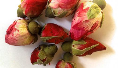 Как сушить цветы для эпоксидной смолы. Подготовка всего необходимого