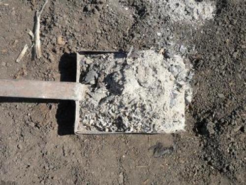 Что делать с ботвой помидоров осенью. Что делать с ботвой помидоров после уборки урожая? 11 Что делать с ботвой помидоров осенью. Что делать с ботвой помидоров после уборки урожая? 11