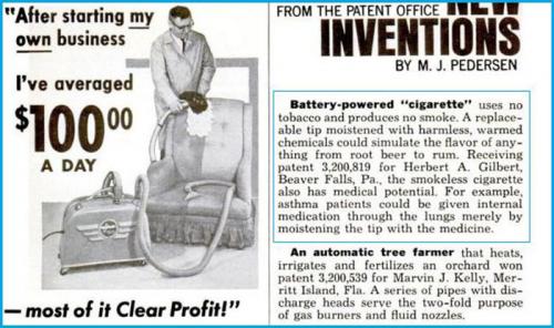 Когда появился в россии колорадский жук. Кто подбросил нам колорадского жука 06