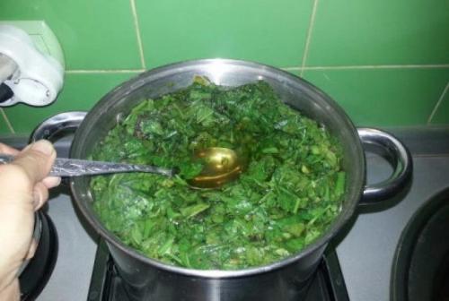 Утилизация ботвы томатов. Что делать с ботвой помидоров после пасынкования - огород без отходов