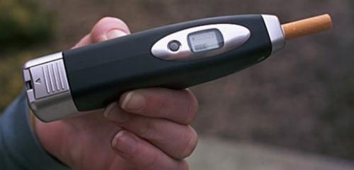 Когда появился в россии колорадский жук. Кто подбросил нам колорадского жука 08