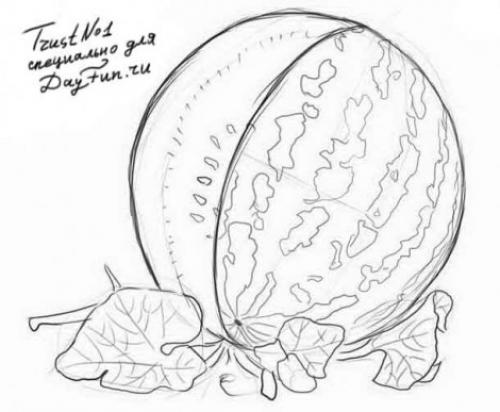 Где растут арбузы в России. Арбуз на территории России 10