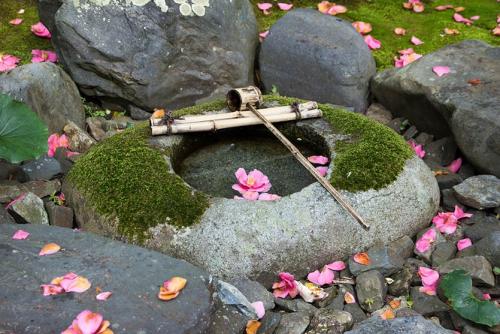 Японский сад план. С чего начать создание японского сада
