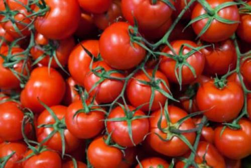 Помидор фрукты или овощи. Помидор (томат) – это фрукт или овощ?