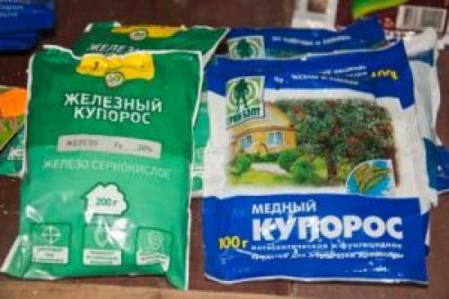 Медный купорос и железный разница. Медный купорос и железный купорос разница 08