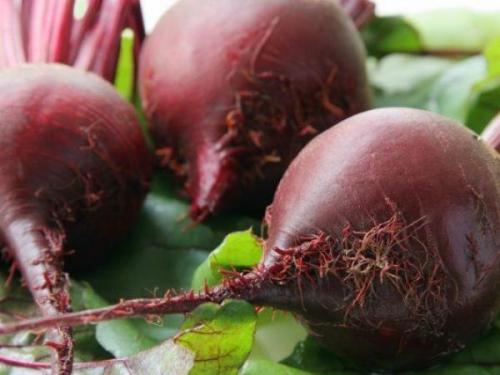 Почему свёкла, а не Свекла. Почему столовая Свекла бывает не сладкой