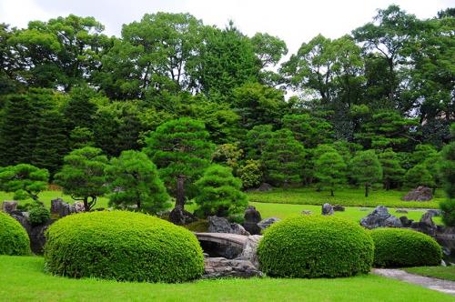 Японский сад в сибири. Японский сад на даче: выбираем растения с умом