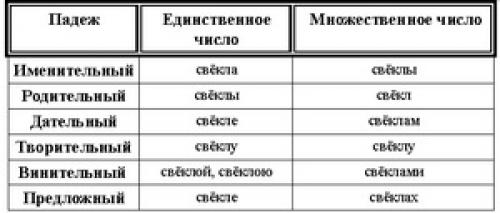 Свекла ударение. Правильное ударение в слове свекла и способы его запоминания