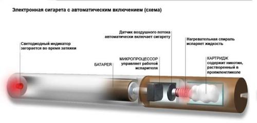 Когда появился в россии колорадский жук. Кто подбросил нам колорадского жука 09