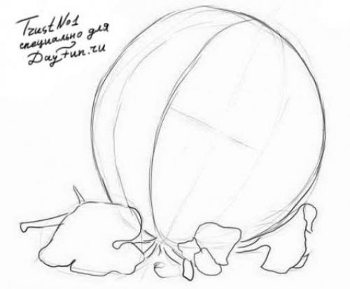 Где растут арбузы в России. Арбуз на территории России 09