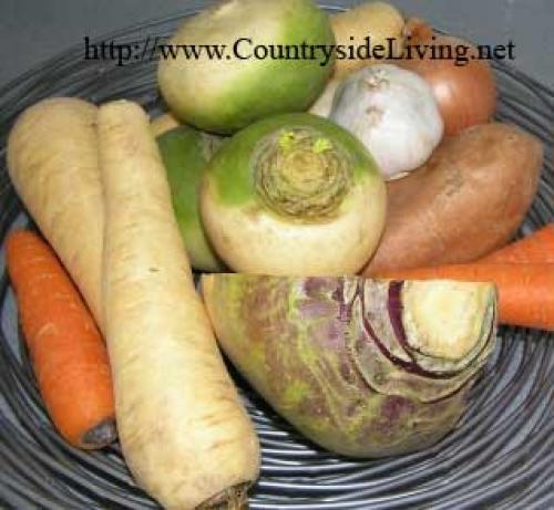 Чем отличается брюква от репы 07