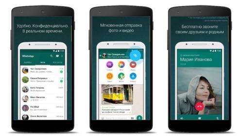 Когда появился в россии колорадский жук. Кто подбросил нам колорадского жука 04