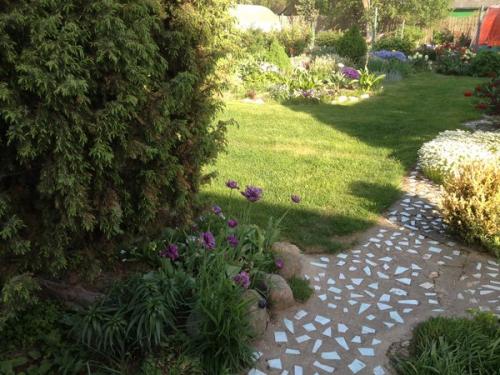 Как защитить картофель от мышей и крыс ?