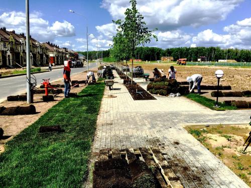 Можно ли сыпать песок в газон. Подготовка земли к посеву газона 07