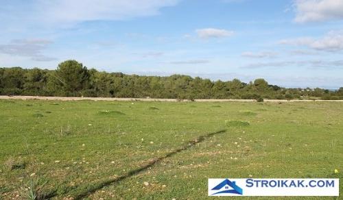 Зачем поднимать участок. Способы поднятия уровня земельного участка