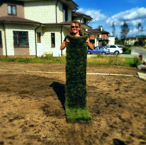 Можно ли сыпать песок в газон. Подготовка земли к посеву газона 06