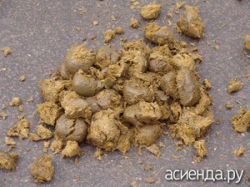 Конский навоз - плюсы и минусы