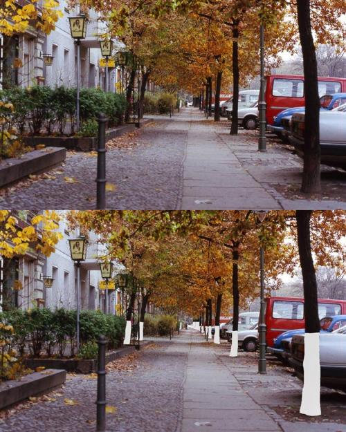 Зачем красят деревья и бордюры. Почему белить бордюры - это ленивая советская практика?