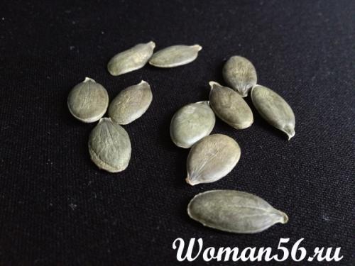 Какую минимальную температуру выдерживает рассада тыквы. Выращивание тыквы. Подготовка и высадка рассады