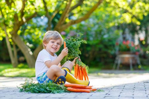 Почему свежая морковь горчит. 5 причин горечи моркови и 4 способа ее предотвратить 01
