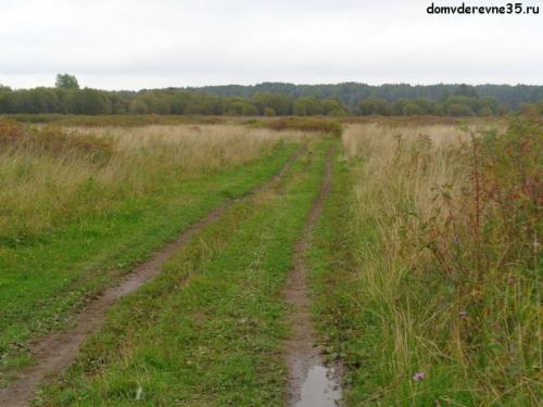Можно ли собирать зеленый шиповник. Когда собирать шиповник