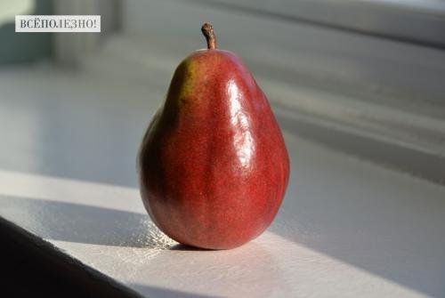 Семена груши польза. Свойства груши