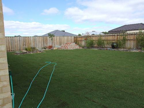 Какую траву посадить на песке. Когда не стоит проводить пескование газона?