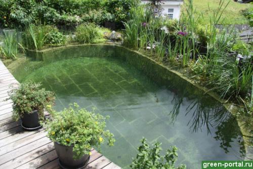 Биоплато для пруда устройство. Биоплато для очистки воды в пруду 05