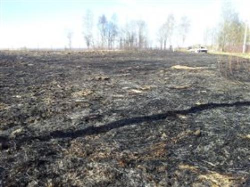 Привезти землю на участок.