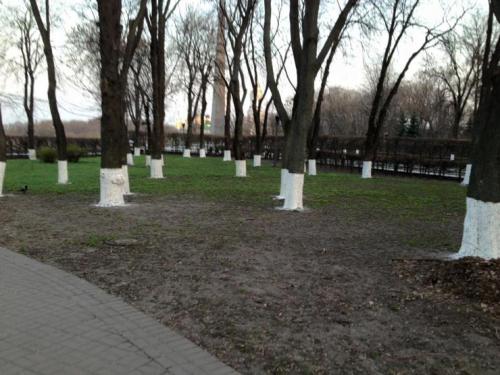 Зачем красят деревья и бордюры. Почему белить бордюры - это ленивая советская практика?