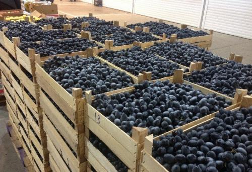 Как сделать вино без сахара. Как изготавливается сухое вино 12 Как сделать вино без сахара. Как изготавливается сухое вино 12