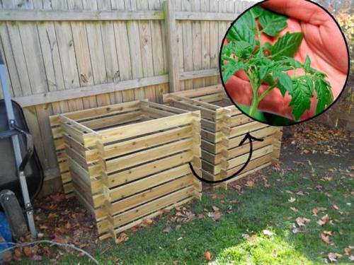 Когда убирать ботву помидор. Приготовление компоста