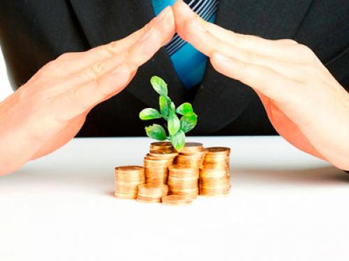 Когда лучше ставить теплицу. Когда лучше устанавливать теплицу? 04