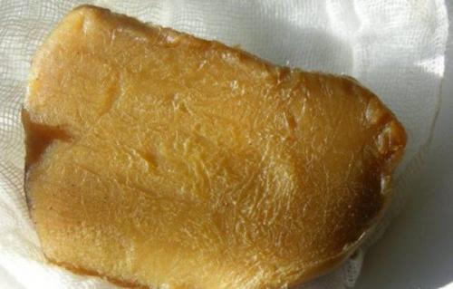 Срез на яблоне чем замазать. Чем замазать срез на яблоне?