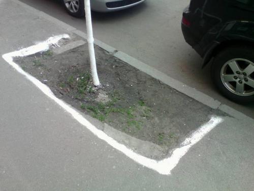 Зачем красят деревья и бордюры. Почему белить бордюры - это ленивая советская практика?