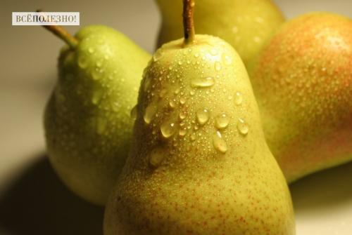 Семена груши польза. Свойства груши