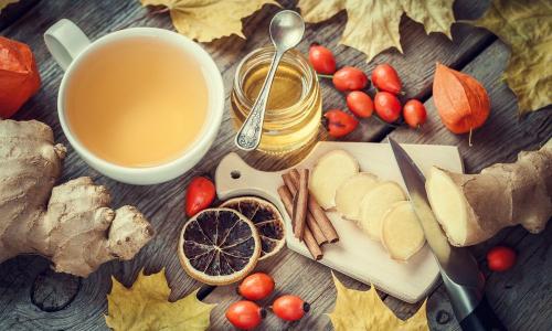 Когда созревает шиповник в подмосковье. Сбор шиповника в средней полосе России, Подмосковь 20