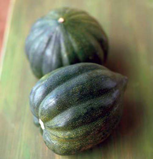 Тыква с зеленой мякотью. Зеленая тыква: главная информация о свойствах 03