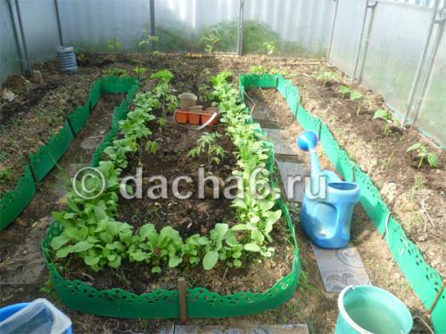 Какие заморозки выдерживает морковь осенью. Овощи и осенние заморозки 02