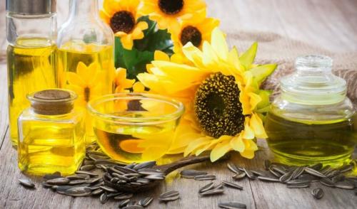 Когда растет подсолнух. Подсолнечник в Сибири