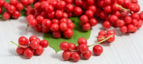 Что можно сделать из ягод лимонника. Что можно приготовить из ягод китайского лимонника? 04