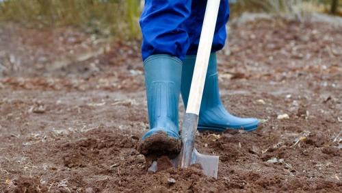 Когда копать огород на зиму. Когда копать огород осенью или весной?