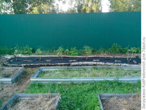 Спанбонд 120 применение. Черный спанбонд максимальной плотности - помощь в борьбе за идеальный участок