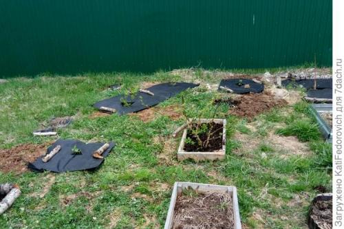 Спанбонд 120 применение. Черный спанбонд максимальной плотности - помощь в борьбе за идеальный участок